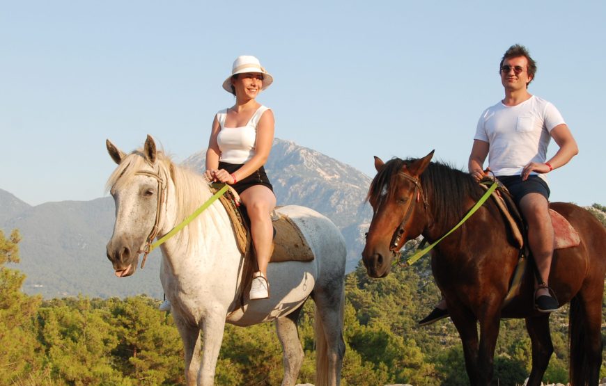 Fethiye At Safari